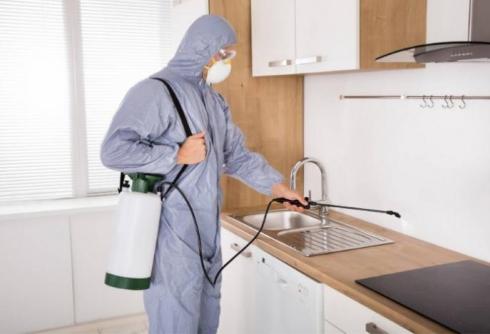 شرکت سمپاشی ساس سوسک موش کنه موریانه بید گال سم پاشی