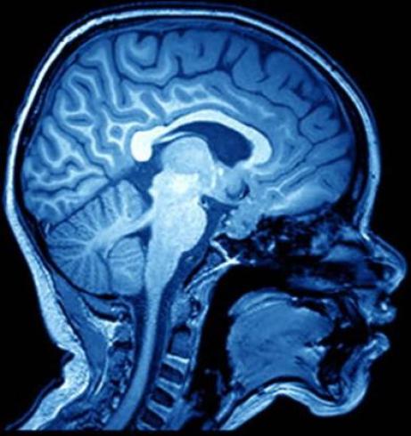 تصاویر پزشکی سی دی و لینک ایالات