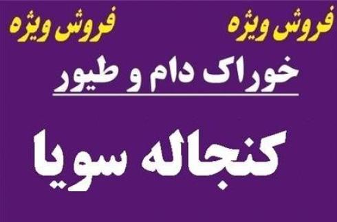 فروش کنجاله سویا