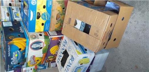 فروش کارتن موز جهت اسباب کشی