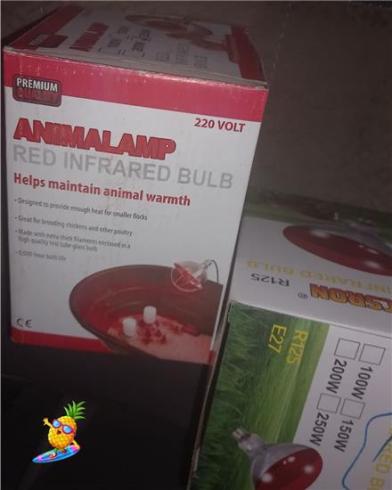 توزیع مستقیم لامپ های حرارتی