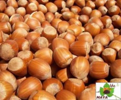 فروش عمده فندق