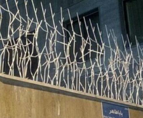 فروش مستقیم حفاظ بوته ای در تهران