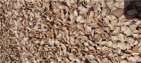 خرید عمده پوسته پسته مرغوب