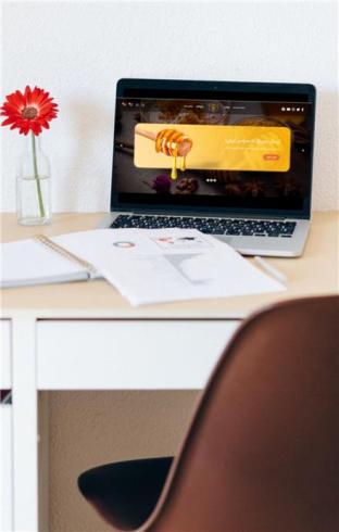 طراحی سایت وسئو