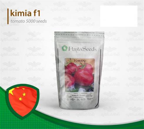 فروش بذر گوجه خارجی کیمیا تخم مرغی