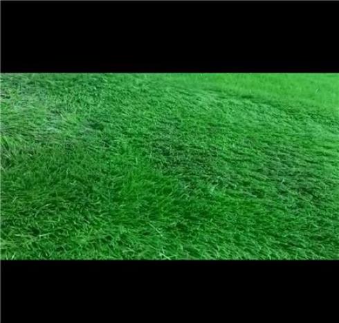 فروش چمن مصنوعی فوتبالی و تزیینی