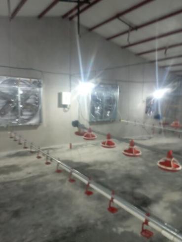 خریدو فروش تجهیزات مرغداری گوشتی و تخمی