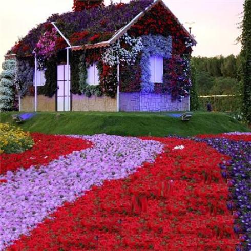 فلاورباکس گرین وال