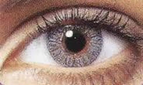 ترجمه عربی چکیده مقاله