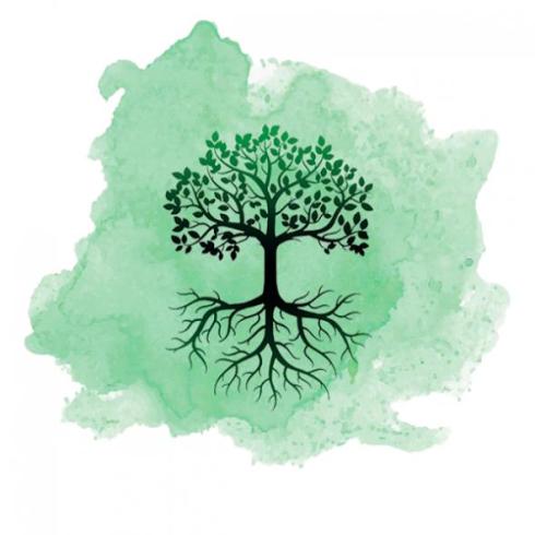 شرکت طراحی وبسایت و اپلیکیشن - سئو تضمینی