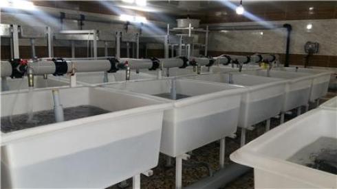 ساخت و طراحی انکوباتور