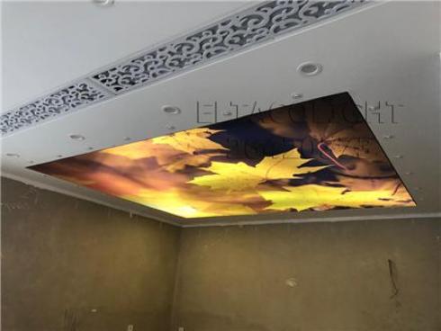 سقف کشسان یا سقف کششی ، باریسول