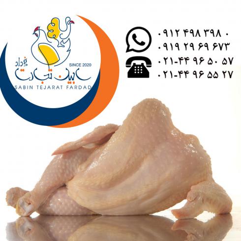 تامین و عرضه گوشت مرغ منجمد و گرم سابین تجارت