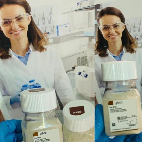 Penicillin-streptomycine gibco پن استرپ
