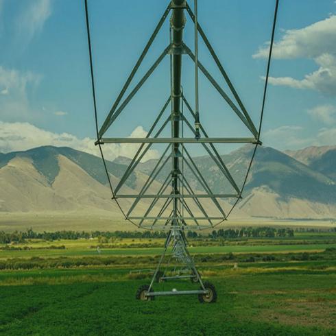 فروش شرکت رتبه 5 آب و کشاورزی سهامی خاص 