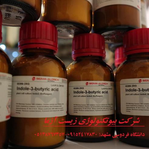 ریشه زای ایندول بوتریک اسیدIBA و نفتالیک استیک اسیدNAA