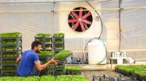 کولر آبی گلخانه