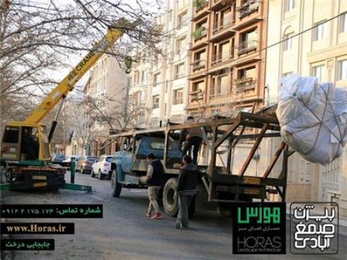 جابجایی درخت