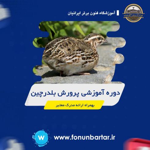 دوره آموزشی پرورش کبک و بلدرچین