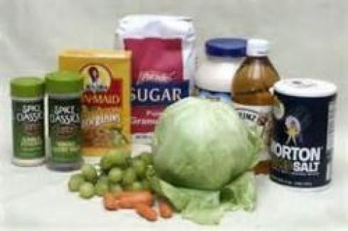 مواد اولیه صنایع غذائی و داروئی رایا