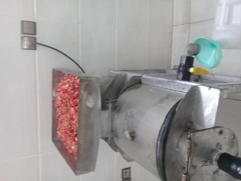 ابگیری انار انگور غوره زرشک لیمو