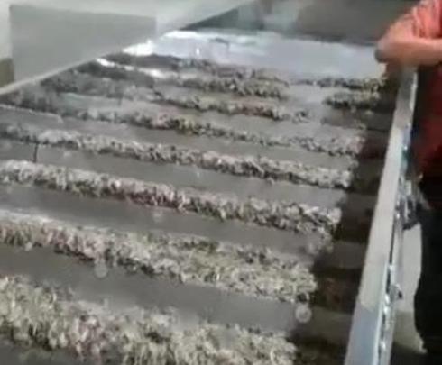 خشک کن پله ای آجیل