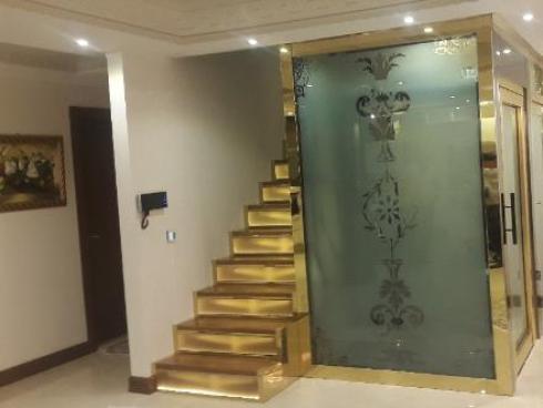 فروش و اجرای انواع پله وکاور آسانسور نمای اسپایدر