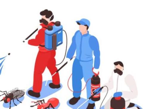 سمپاشی فرش نجف آباد سمپاشی فرش در اصفهان