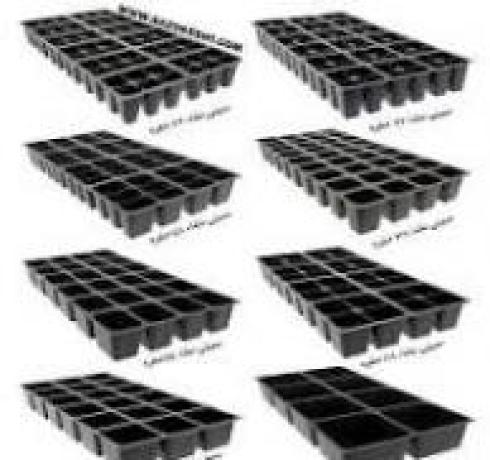 فروش سینی کشت فروش سینی نشا برنج