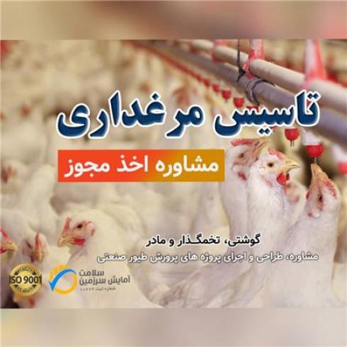 استعلام و اخذ مجوز مرغداری گوشتی