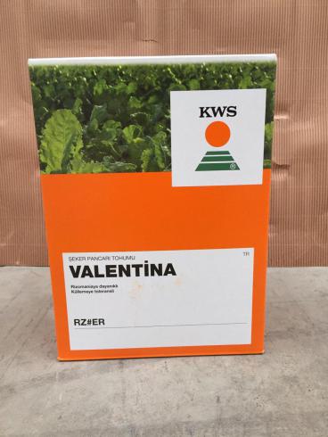 فروش بذر چغندر