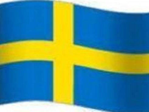 مترجم زبان سوئدی