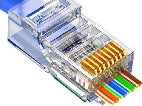 سوکت شبکه میان‌گذر Cat6 ساده و رنگی با برند شما