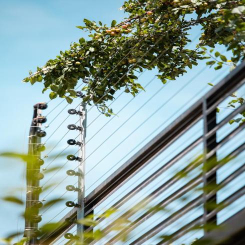 فنس هوشمند الکتریکی