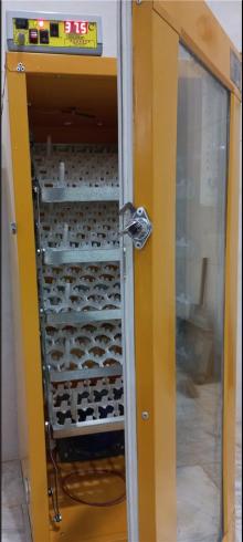 دستگاه جوجه کشی مدبر