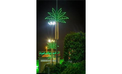 المان حجمی نخل نوری