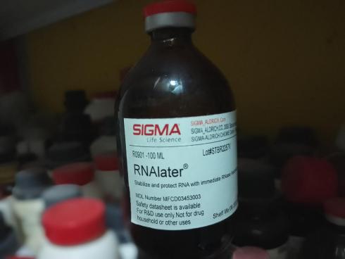 فروش ویژه محلول محافظت کننده RNA یا RNA later  سیگما