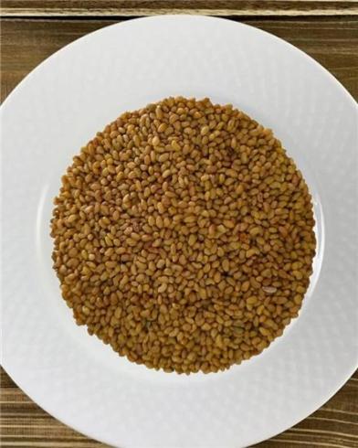 خرید وفروش بذر های کشاورزی