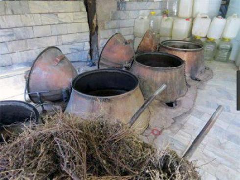 عرقیات گیاهی فتاحی
