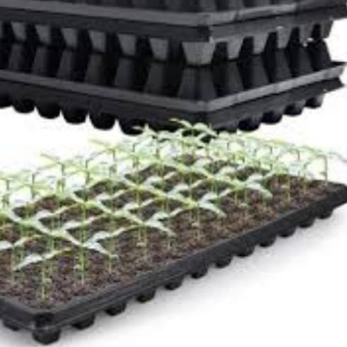 فروش سینی کشت نشا