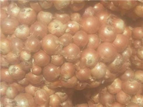 پخش کیسه توری وراشل