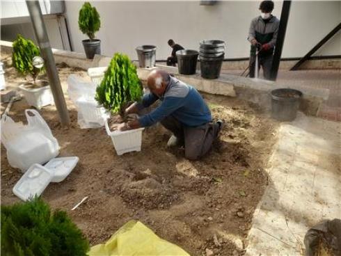 باغبانی و باغچه کاری