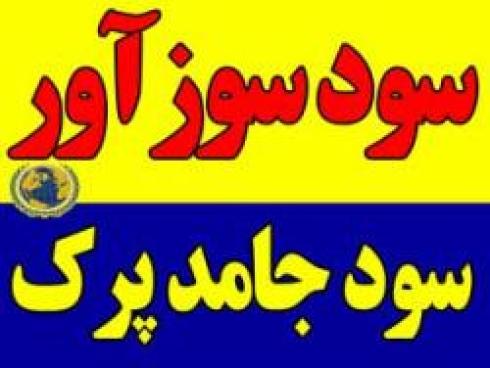 سود سوزآور ، Caustic Soda سود جامد پرک