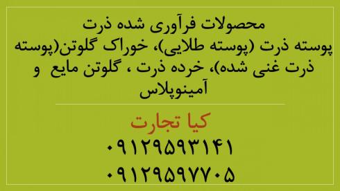 فروش تخصصی محصولات فرآوری‌شده ذرت