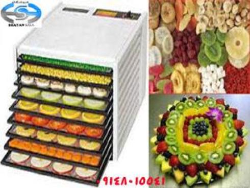 دستگاه چیپس کن میوه فروشگاه شایان کالا
