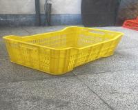 فروش سبد 20 کیلویی