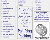 Rucshing ring - pall ring