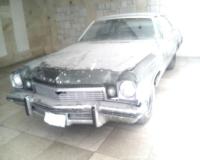 خریدار انواع خودروهای امریکایی پلاک جدید - پلاک قدیم