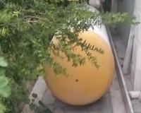 خرید فروش مخازن گاز مایع lpg